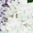 Предпросмотр схемы вышивки «Сирень» (№1851397)