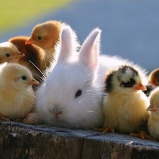 Схема вышивки «467»