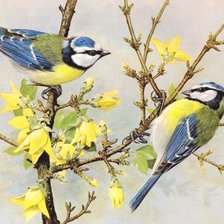 Схема вышивки «№1851459»