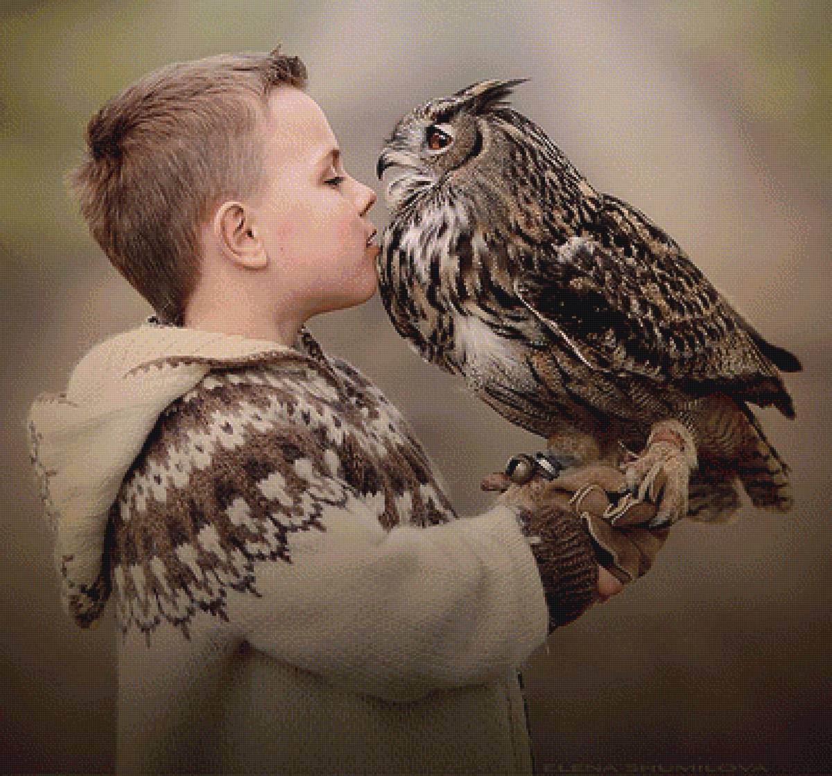 Мальчик и филин - предпросмотр