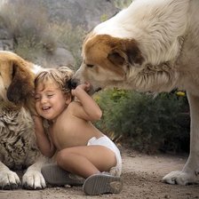 Схема вышивки «Лохматые няньки»