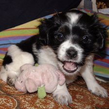 Схема вышивки «Мэгги»