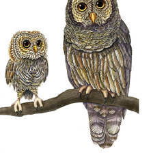 Схема вышивки «Совушки»