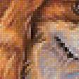Предпросмотр схемы вышивки «мир животных» (№1852220)