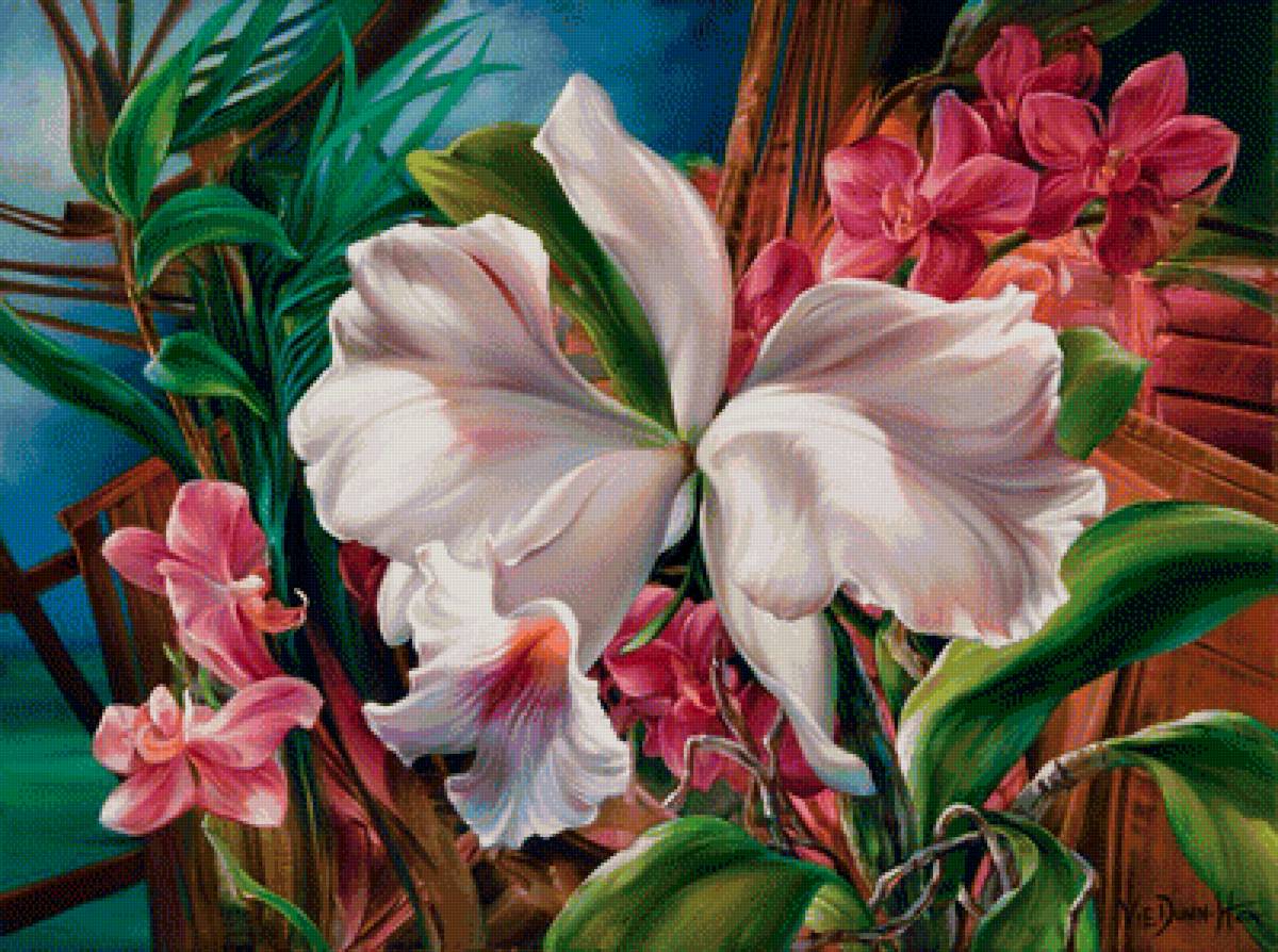 Экзотические цветы - растения, цветы - предпросмотр