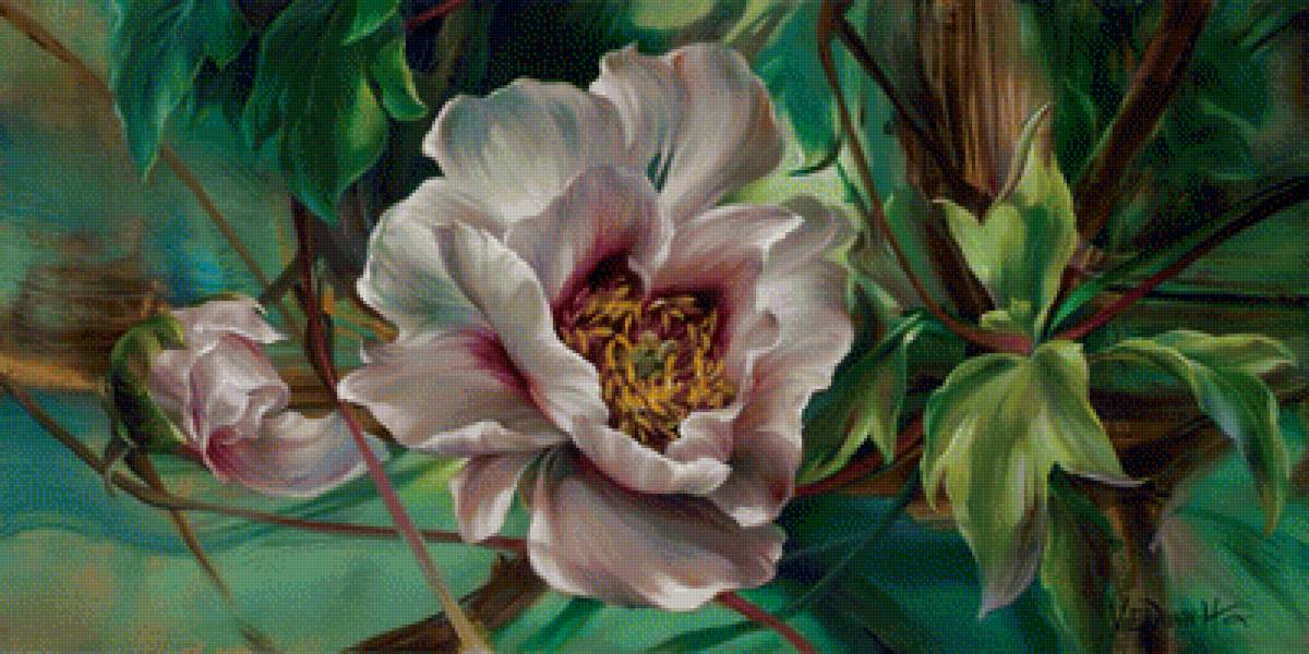 Экзотические цветы 2 - растения, цветы - предпросмотр