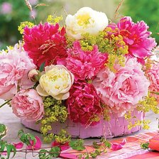 Схема вышивки «№1852766»