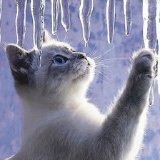 Схема вышивки «№1853031»