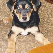 Схема вышивки «Дуся»