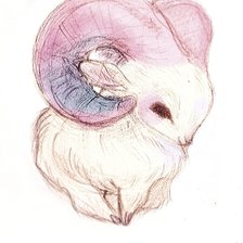 Схема вышивки «Барашек»