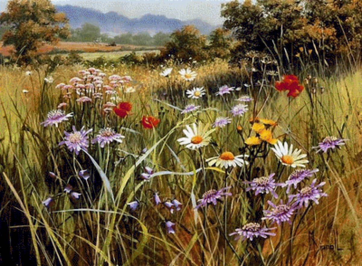 ПОЛЕВЫЕ ЦВЕТЫ - пейзаж, полевые цветы - предпросмотр