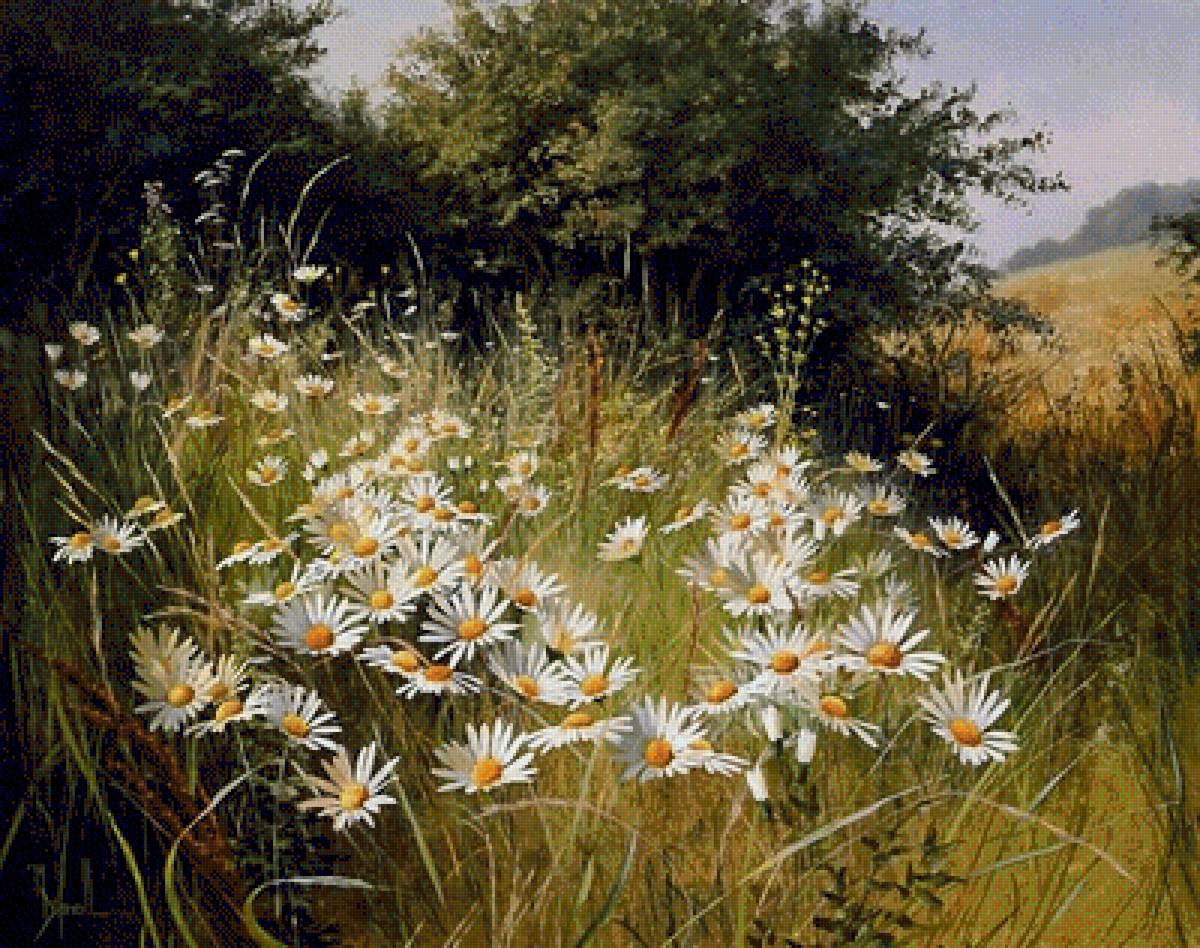 ПОЛЕВЫЕ ЦВЕТЫ - пейзаж, полевые цветы - предпросмотр