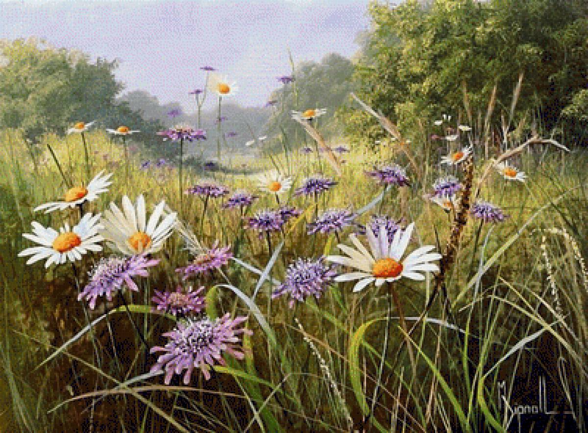 ПОЛЕВЫЕ ЦВЕТЫ - полевые цветы, пейзаж - предпросмотр