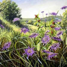 Схема вышивки «ПОЛЕВЫЕ ЦВЕТЫ»