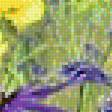 Предпросмотр схемы вышивки «ПОЛЕВЫЕ ЦВЕТЫ» (№1853527)