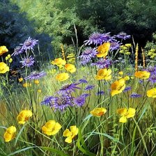 Схема вышивки «ПОЛЕВЫЕ ЦВЕТЫ»