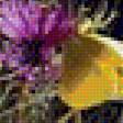 Предпросмотр схемы вышивки «ПОЛЕВЫЕ ЦВЕТЫ» (№1853528)