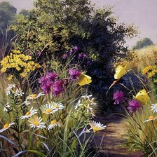 Схема вышивки «ПОЛЕВЫЕ ЦВЕТЫ»