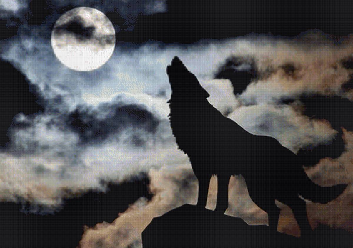 Волк №3 - предпросмотр