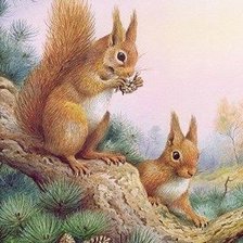 Схема вышивки «дикие»