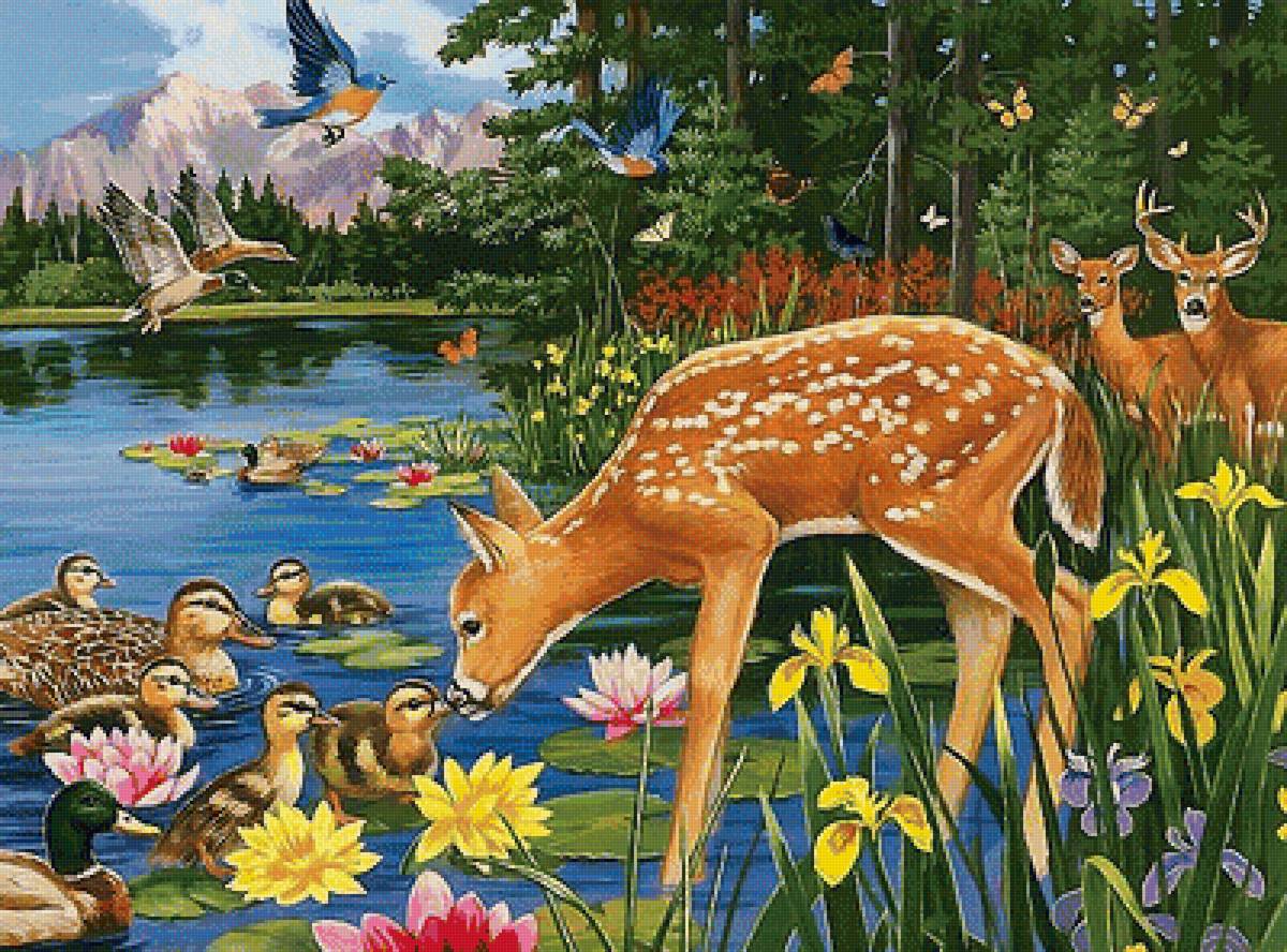 мир животных - мир животных - предпросмотр