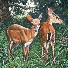 Схема вышивки «две косули»