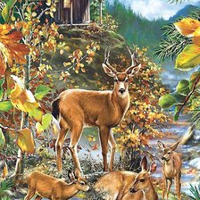 Схема вышивки «мир животных»