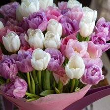 Схема вышивки «Тюльпаны 3»