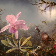 Схема вышивки «Одинокая орхидея»