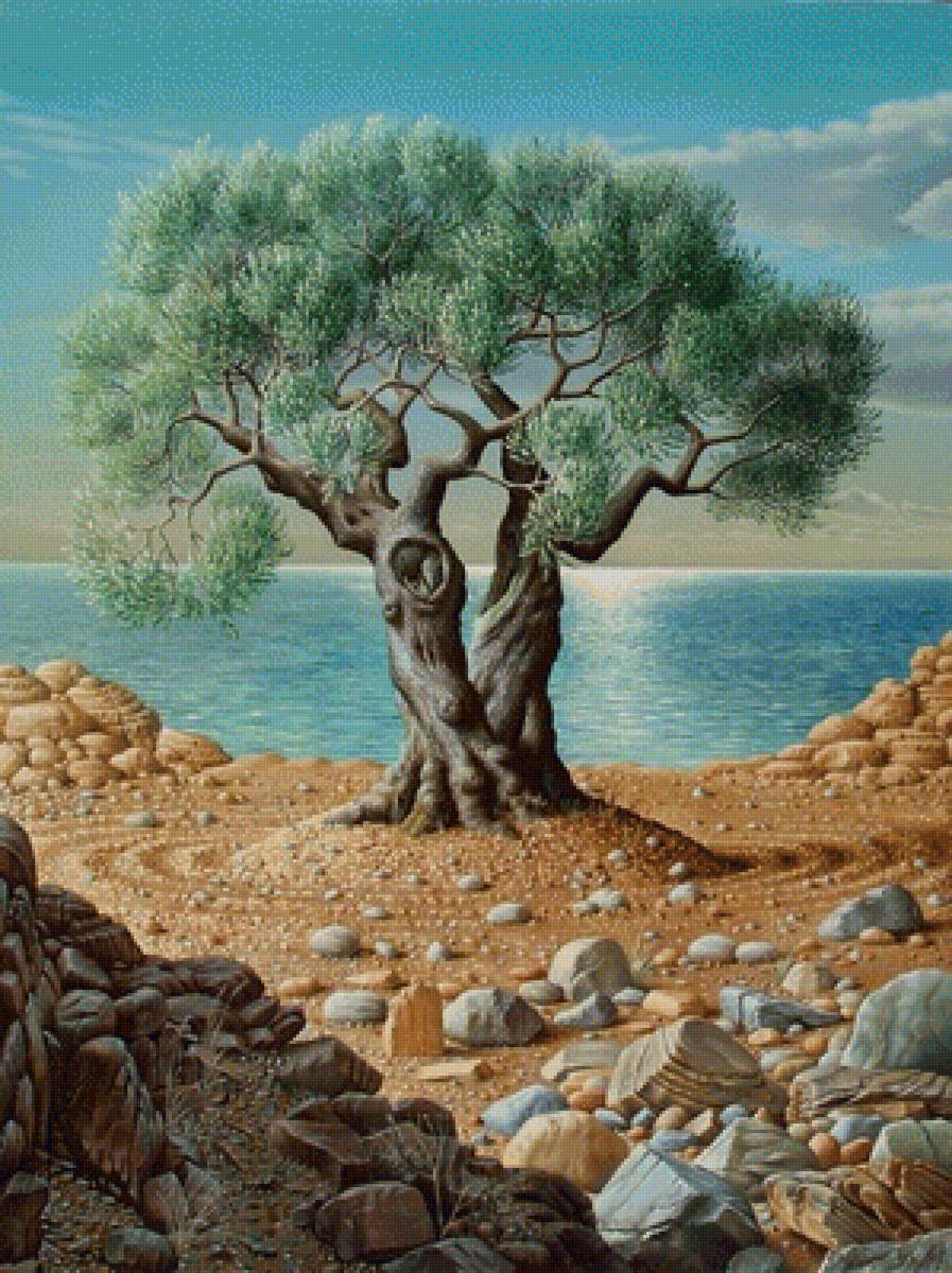 Дерево у моря - дерево, камни, море - предпросмотр