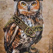 Схема вышивки «Сова кавалер»