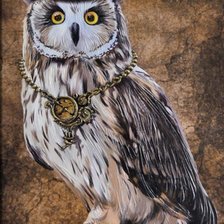 Схема вышивки «Сова дама»