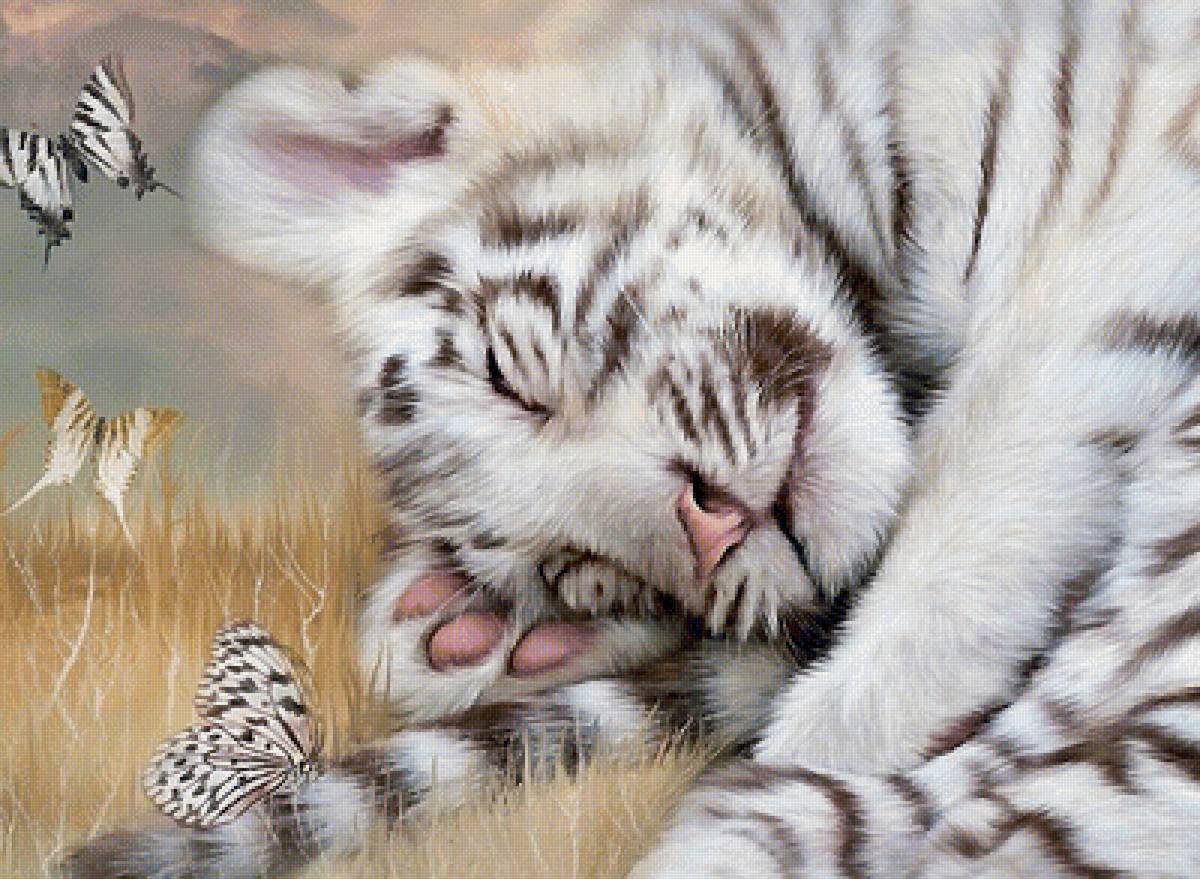 тигрёнок и бабочки - мир животных - предпросмотр