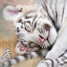 Схема вышивки «тигрёнок и бабочки»