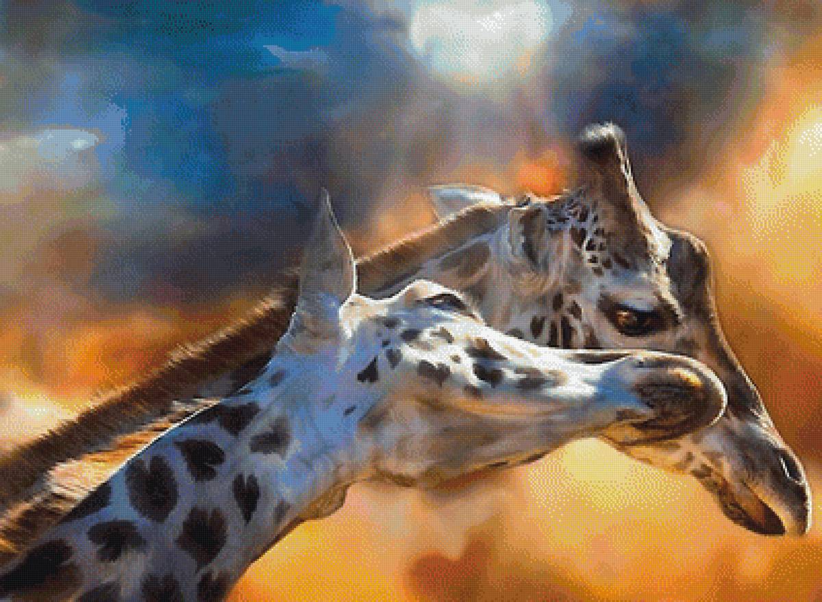 два жирафа - мир животных - предпросмотр