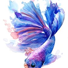 Схема вышивки «betta fish»