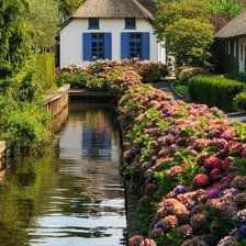 Схема вышивки «Гитхорн»