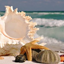 Схема вышивки «Море»