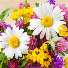 Схема вышивки «Цветы»