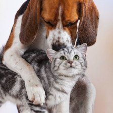 Схема вышивки «Давай дружить»