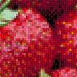 Предпросмотр схемы вышивки «Клубника» (№1855417)