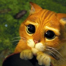 Схема вышивки «Кот в сапогах»