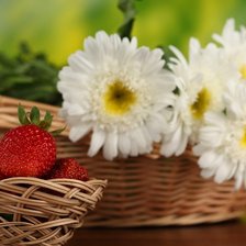 Схема вышивки «Ромашки»