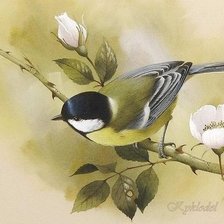 Схема вышивки «Синичка»