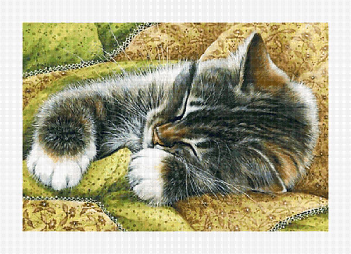 Серия "Коты". - животные, коты - предпросмотр