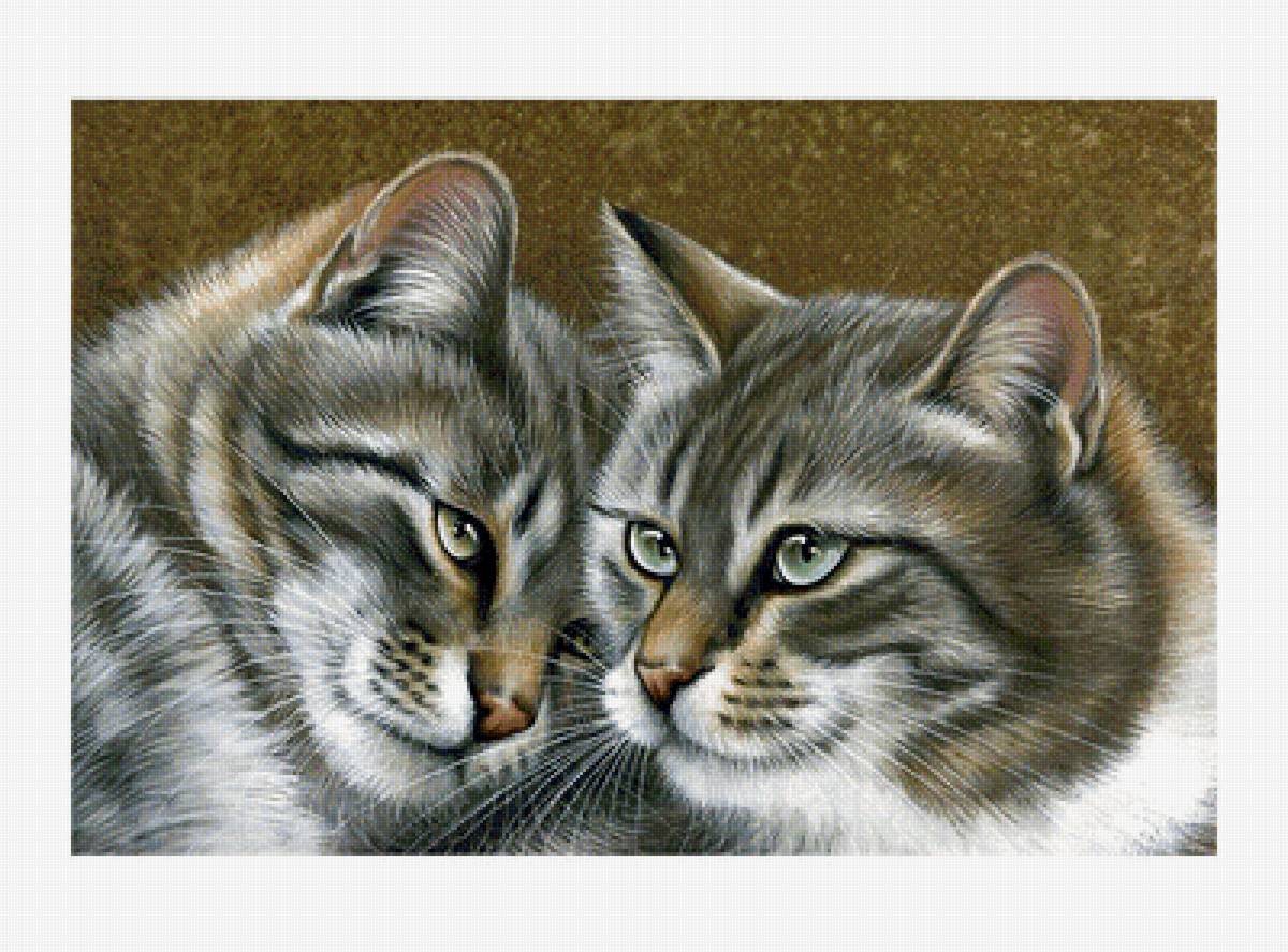 Серия "Коты". - животные, коты - предпросмотр