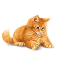 Схема вышивки «Серия "Коты". "Рыжий папа, рыжий Я, рыжая моя семья!"»