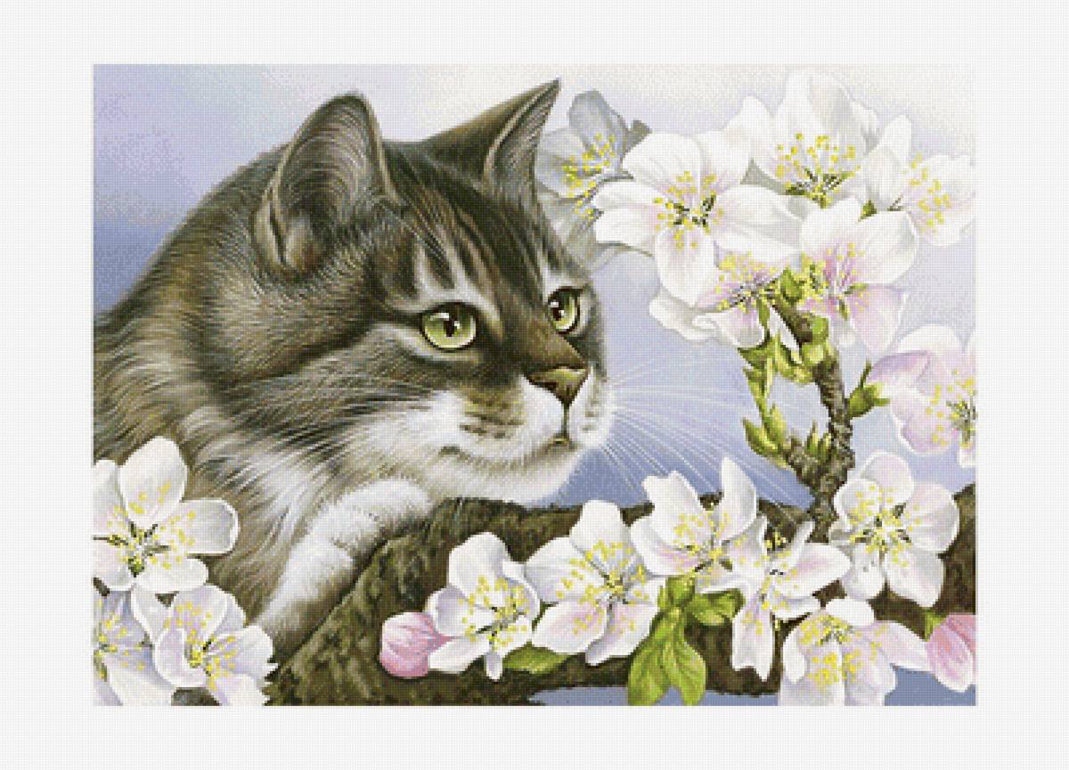 Серия "Коты". - животные, коты - предпросмотр