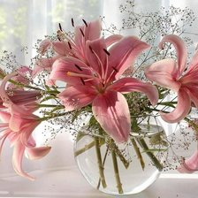 Схема вышивки «лилии»