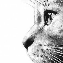 Схема вышивки «рисунок»